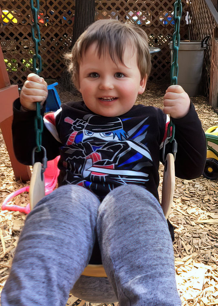A little boy that is sitting on a swing.